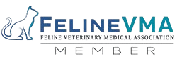 FelineVma Logo