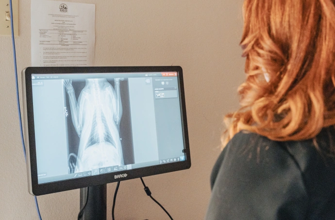 Diagnostic Care for Cats