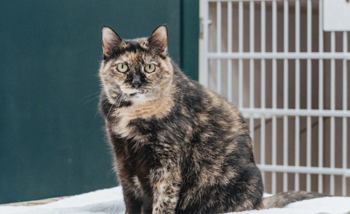 New Client Information